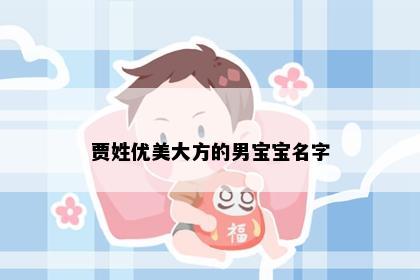贾姓优美大方的男宝宝名字